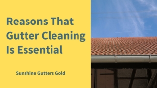 Reasons That Gutter Cleaning Is Essential