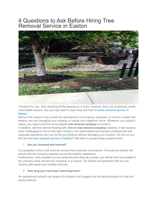 4 Questions to Ask Before Hiring Tree Removal Service in Easton