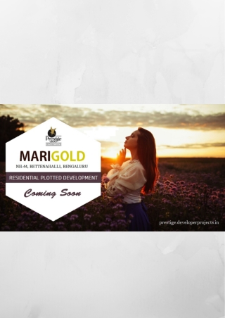 Prestige Marigold Plots Bettenahalli Bangalore