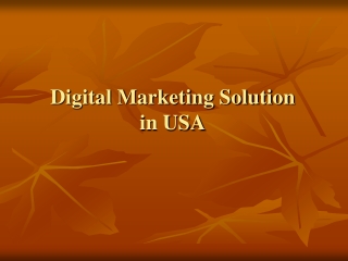 Digital Marketing Solution in USA