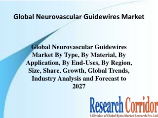 Global-Neurovascular-Guidewires-Market