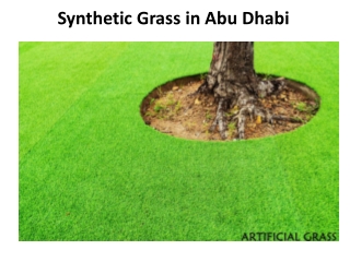 Synthetic Grass in Dubai