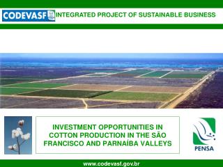 INVESTMENT OPPORTUNITIES IN COTTON PRODUCTION IN THE SÃO FRANCISCO AND PARNAÍBA VALLEYS