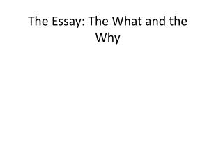 What Is An Illistration Essay