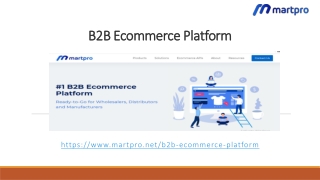 B2B Ecommerce Platform