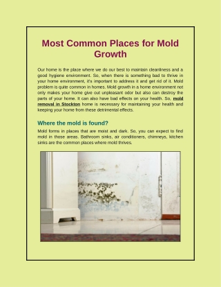 What Are The Most Common Places In Home For Mold Growth?