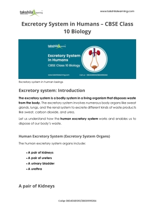 Excretory System in Humans - CBSE Class 10 Biology