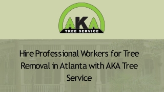 Hire Professional Workers for Tree Removal in Atlanta with AKA Tree Service