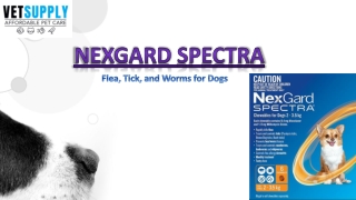 Nexgard Spectra Flea, Tick, and Worm Treatment for Dogs | Pet Care | VetSupply