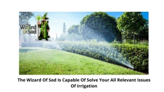 The Wizard Of Sod Is Capable Of Solve Your All Relevant  Issues Of Irrigation