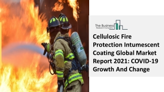 Cellulosic Fire Protection Intumescent Coating Industry Analysis, Industry 2030
