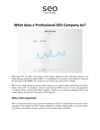 SEO Out of Box - What does a Professional SEO Company do?