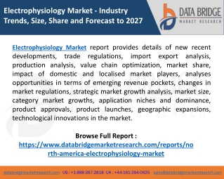 Electrophysiology Market  Research insights, Features, Opportunities and Challenges