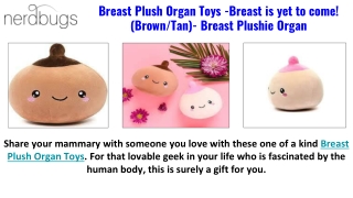 Brain Plush Organ Toys - Nerdbugs Plush Toy Organs