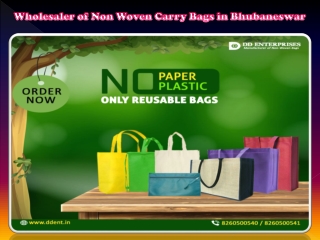 Wholesaler of Non Woven Carry Bags in Bhubaneswar