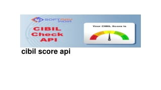 cibil score api