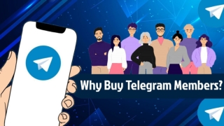 Buy Telegram Members for Creating Worldwide Network