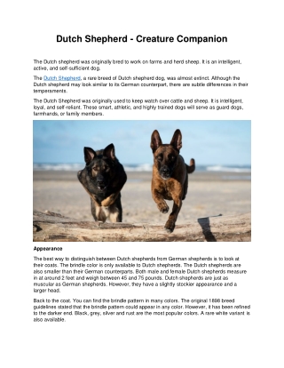 Dutch Shepherd - Creature Companion