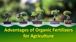 Advantages of Organic Fertilizers for Agriculture