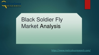 Black Soldier Fly Market