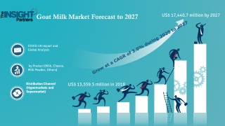 Goat Milk Market to Grow at a CAGR of 3.0% to reach US$ 17,440.7 Mn Million from