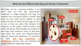 What Are the Different Bed Bug and Termite Treatments