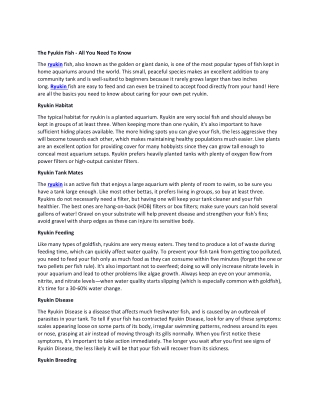The Fyukin Fish - All You Need To Know