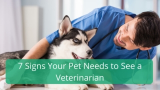 7 Signs Your Pet Needs to See a Veterinarian