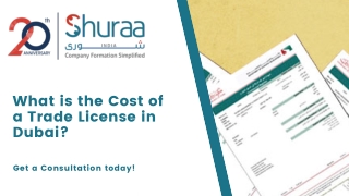 What is the Cost of a Trade License in Dubai