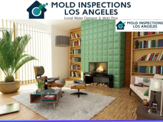 Mold Inspections Los Angeles