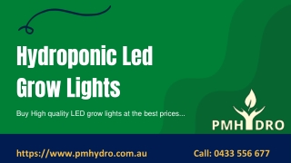 Hydroponic Led Grow Lights in Australia