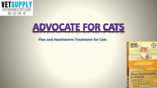 Advocate Flea, Tick, and Worm Treatment for Cats | Pet Care | VetSupply