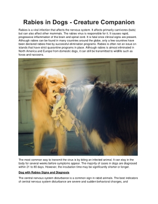 Rabies in Dogs - Creature Companion
