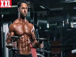 Purchase Steroids Online At Reasonable Cost