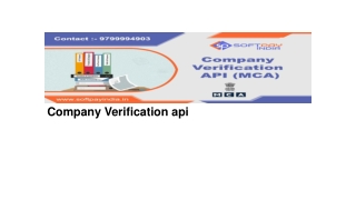 Compnay verification api