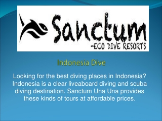 Indonesia Dive