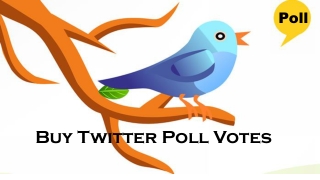 Buy Twitter Poll Votes – Explore your Celebrating Moment