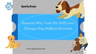Reasons Why Your Pet Will Love Chicago Dog Walkers Services | SparkySteps
