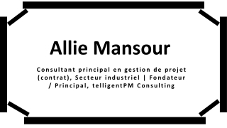 Allie Mansour - Expert en gestion d'entreprise De Montréal, Canada