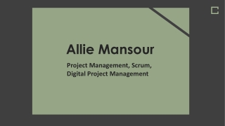 Allie Mansour - A Passionate Leader From Montréal, Canada