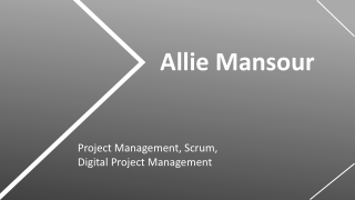 Allie Mansour - Highly Dedicated Professional From Canada