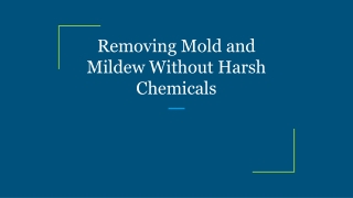 Removing Mold and Mildew Without Harsh Chemicals