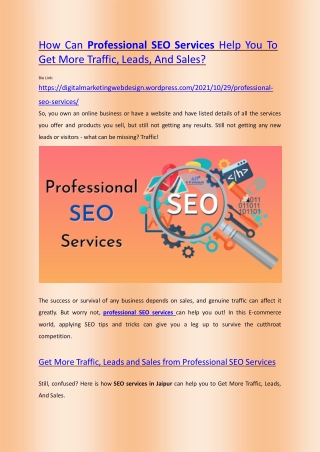 Get More Traffic, Leads And Sales From Professional SEO Services