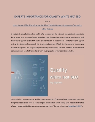 Experts Importance for Quality White Hat SEO