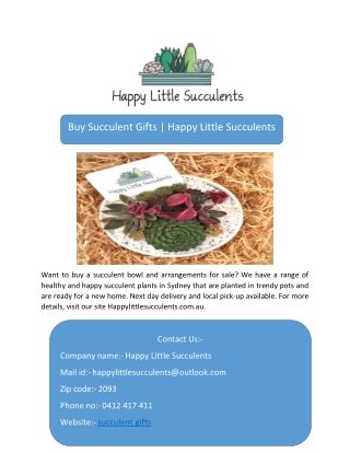 Buy Succulent Gifts  Happy Little Succulents-converted