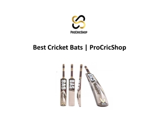 Best Cricket Bats