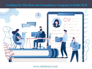 V6HR Services - Best Job Consultancy Company in Delhi NCR