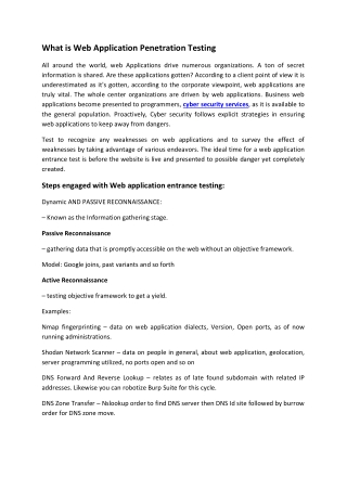 What is Web Application Penetration Testing