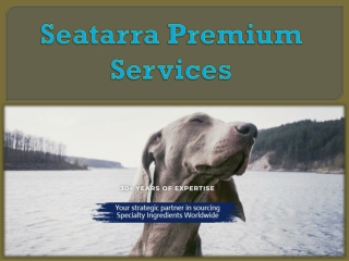 Seatarra Premium Services