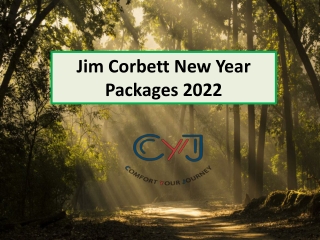 Jim Corbett New Year Packages 2022 | Jim Corbett New Year Packages